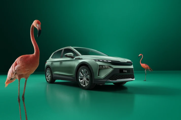 skoda